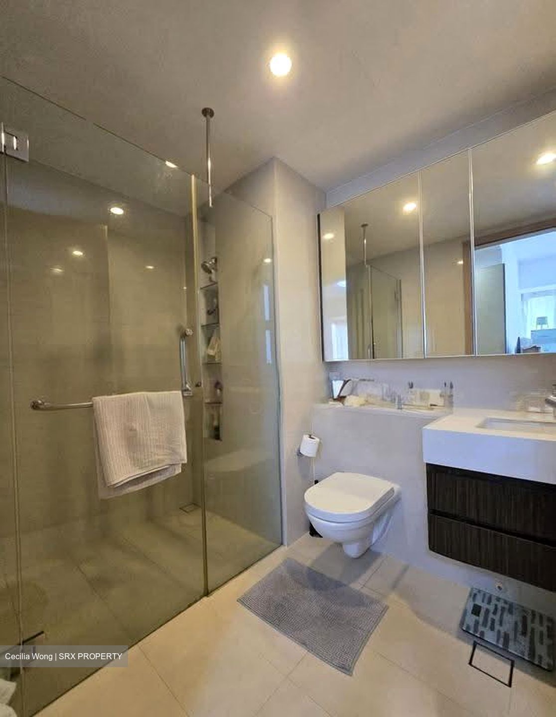 The Palette (D18), Condominium #618153321